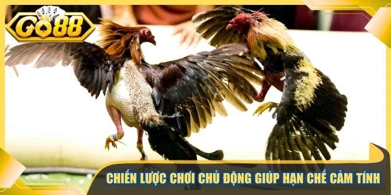 Chiến lược chơi chủ động giúp hạn chế cảm tính