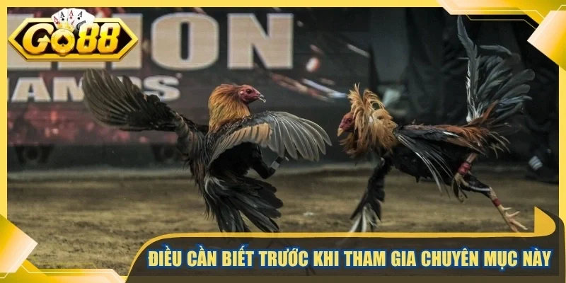 Điều cần biết trước khi tham gia chuyên mục này