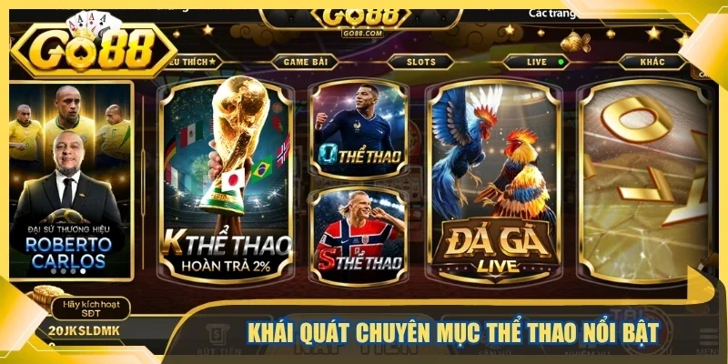 Khái quát chuyên mục thể thao nổi bật