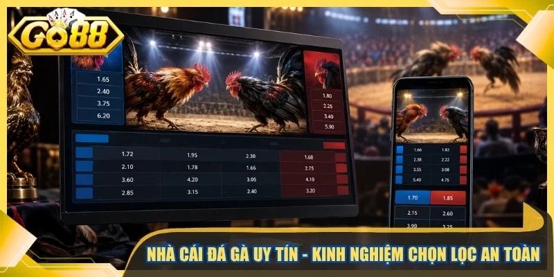 Nhà cái đá gà uy tín